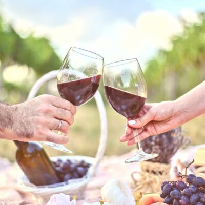 Wild Wellness & Tasting Experience