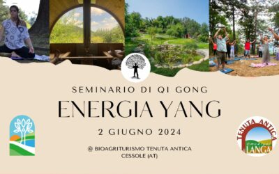Energia Yang – Qi Gong e Medicina Cinese per il riequilibrio